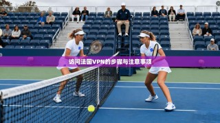 访问法国VPN的步骤与注意事项