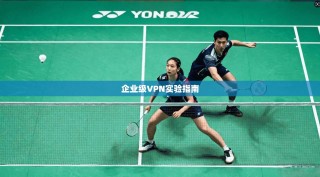 企业级VPN实验指南