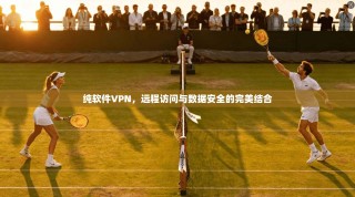 纯软件VPN，远程访问与数据安全的完美结合