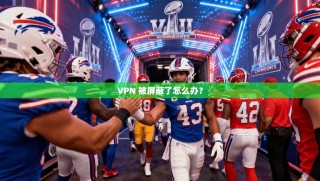 VPN 被屏蔽了怎么办？