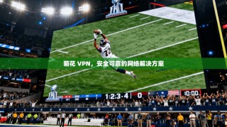 菊花 VPN，安全可靠的网络解决方案