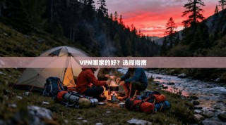 VPN哪家的好？选择指南