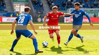 蜂鸟VPN下载指南