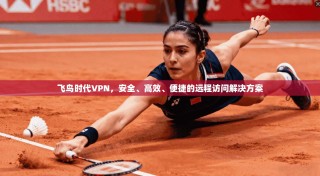 飞鸟时代VPN，安全、高效、便捷的远程访问解决方案