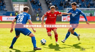 坚果VPN苹果版，解锁全球网络的便捷工具