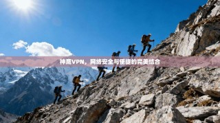 神鹰VPN，网络安全与便捷的完美结合