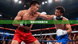 微风VPN官网介绍