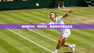 加菲猫VPN，如何安全、便捷地访问全球资源