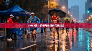 VPN 8元，价格与价值的完美结合