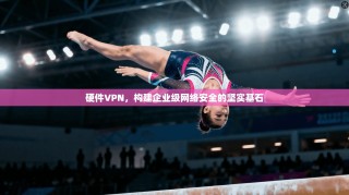 硬件VPN，构建企业级网络安全的坚实基石