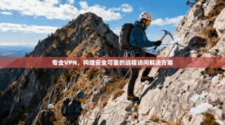 专业VPN，构建安全可靠的远程访问解决方案