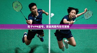 粒子VPN盗号，安全风险与防范策略