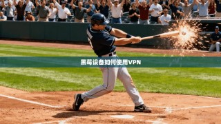 黑莓设备如何使用VPN