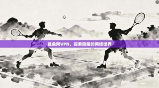 鲨鱼网VPN，探索隐藏的网络世界