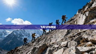 飞鸟VPN网址