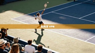 吴向洋 VPN
