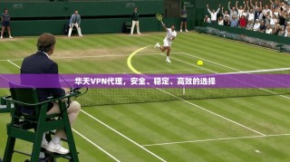 华天VPN代理，安全、稳定、高效的选择