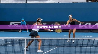 使用VPN 442的指南