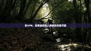 影VPN，探索虚拟私人网络的无限可能