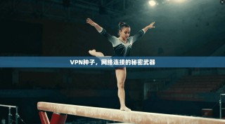 VPN种子，网络连接的秘密武器