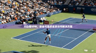 大白兔VPN，安全可靠的全球访问解决方案