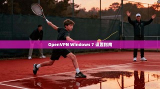 OpenVPN Windows 7 设置指南