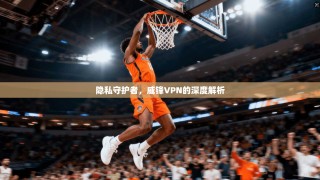 隐私守护者，威锋VPN的深度解析