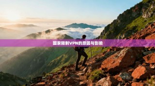 国家限制VPN的原因与影响