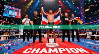 VPN号码设置指南