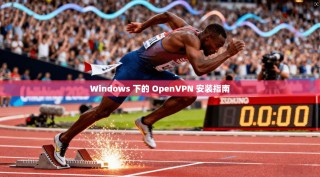 Windows 下的 OpenVPN 安装指南