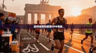 如何选择和使用VPN号码