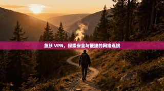 鱼跃 VPN，探索安全与便捷的网络连接