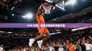 VPN 月费，选择与预算的完美平衡