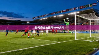 如何安全地使用VPN文件