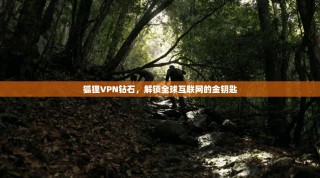 狐狸VPN钻石，解锁全球互联网的金钥匙