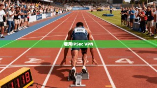 启用IPSec VPN