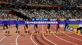 了解VPN密码查询的合法性和风险