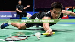 花钱版VPN，选择、使用与注意事项