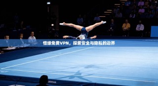 惜缘免费VPN，探索安全与隐私的边界