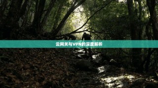 云网关与VPN的深度解析