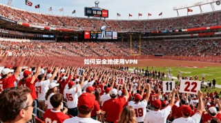 如何安全地使用VPN