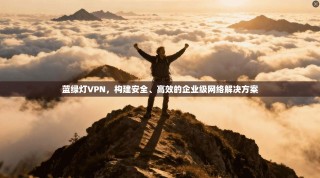 蓝绿灯VPN，构建安全、高效的企业级网络解决方案