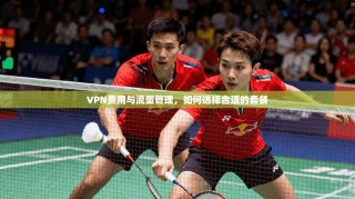 VPN费用与流量管理，如何选择合适的套餐