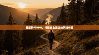番蔷软件VPN，打造安全无忧的网络体验