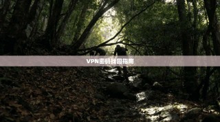 VPN密码找回指南