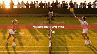 如何配置和使用VPN 1150