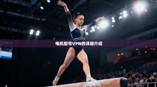 电机型号VPN的详细介绍