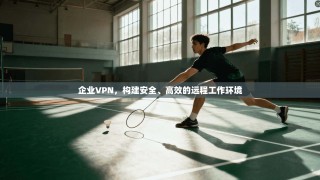 企业VPN，构建安全、高效的远程工作环境