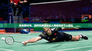 单身狗VPN，如何利用虚拟私人网络保护个人隐私