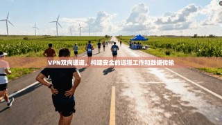 VPN双向通道，构建安全的远程工作和数据传输